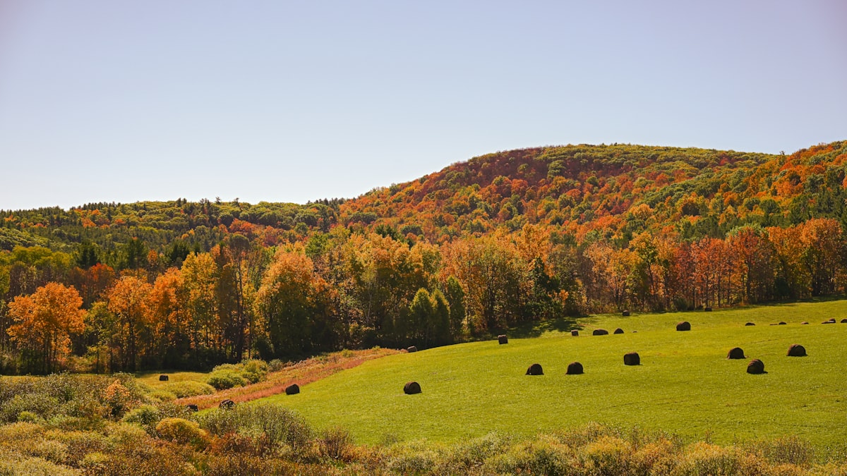Tolland County